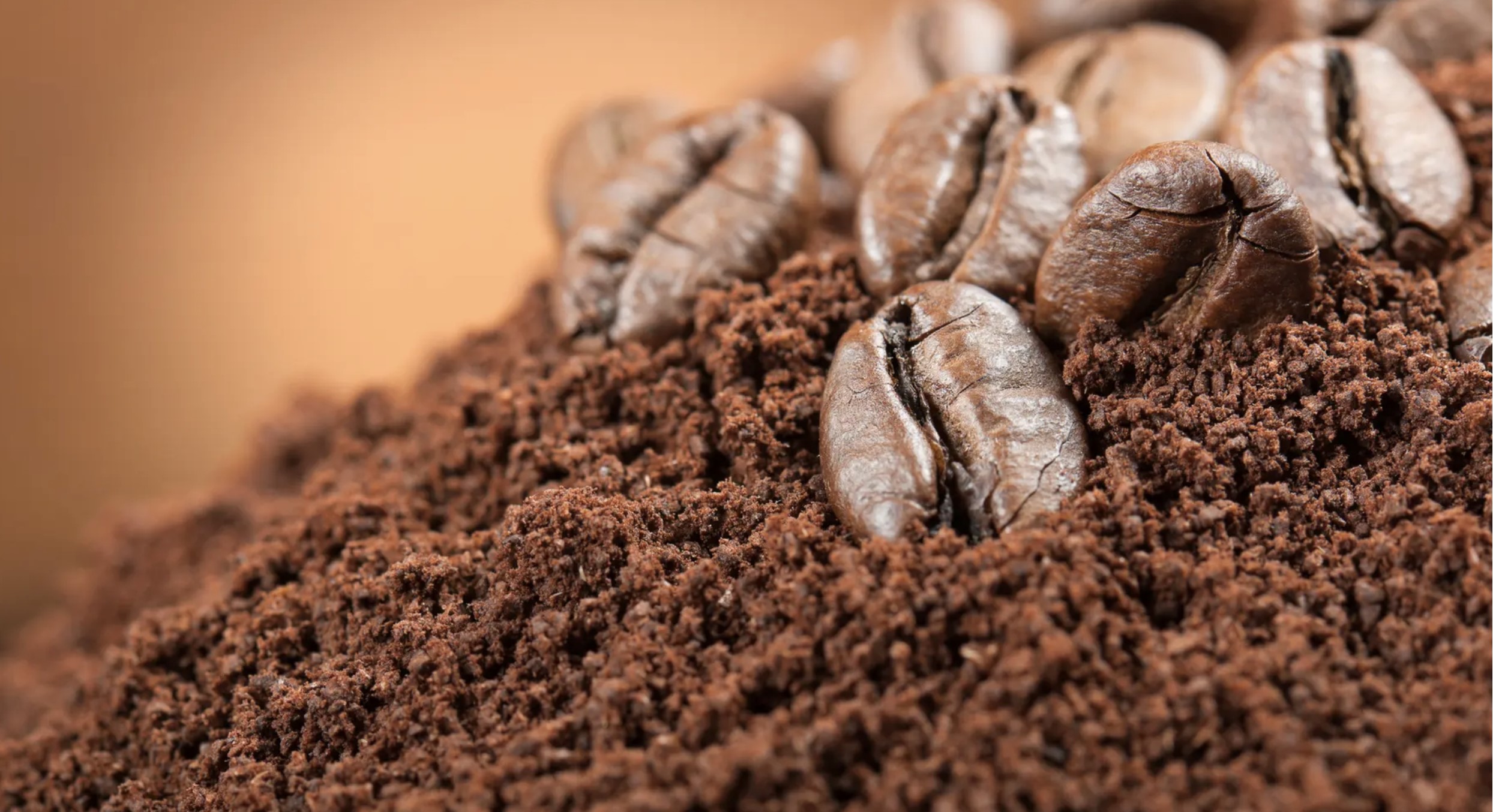 Cơ hội và thách thức cho ngành fulfillment trong xu hướng xanh