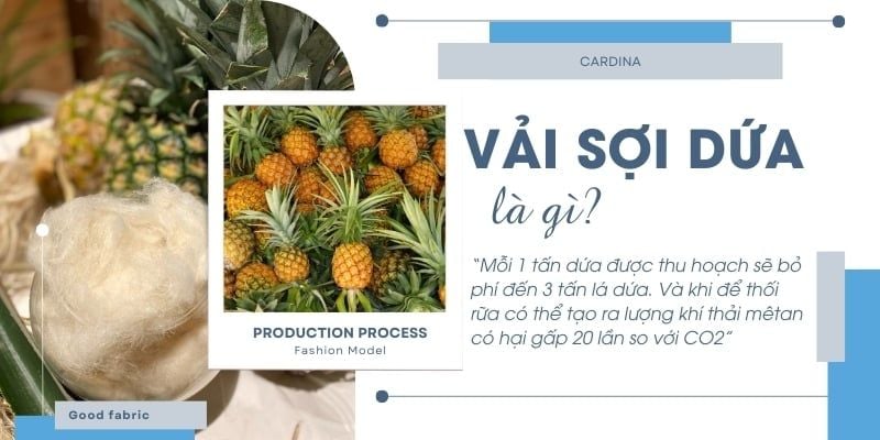 Phát triển thời trang xanh từ lá dứa brand Ecofa