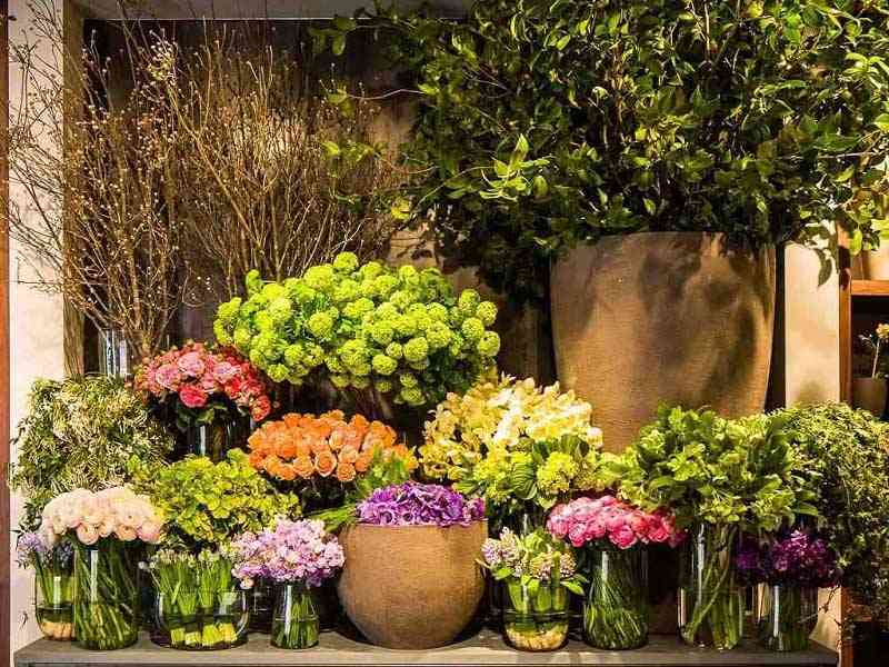 Kinh doanh dịch vụ kinh doanh hoa tươi